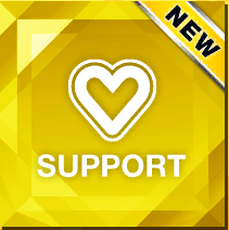 Support skill